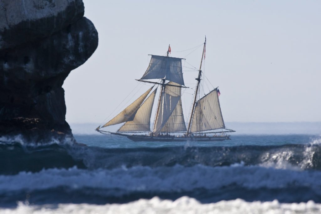Navigating Venture Capital