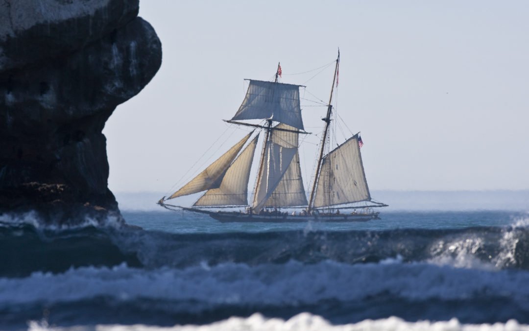 Navigating Venture Capital’s Murky Waters