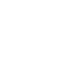 Made in NY SWARMNYC