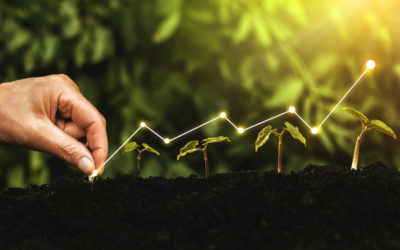 How Growth-Stage Startups Can Leverage the Recession